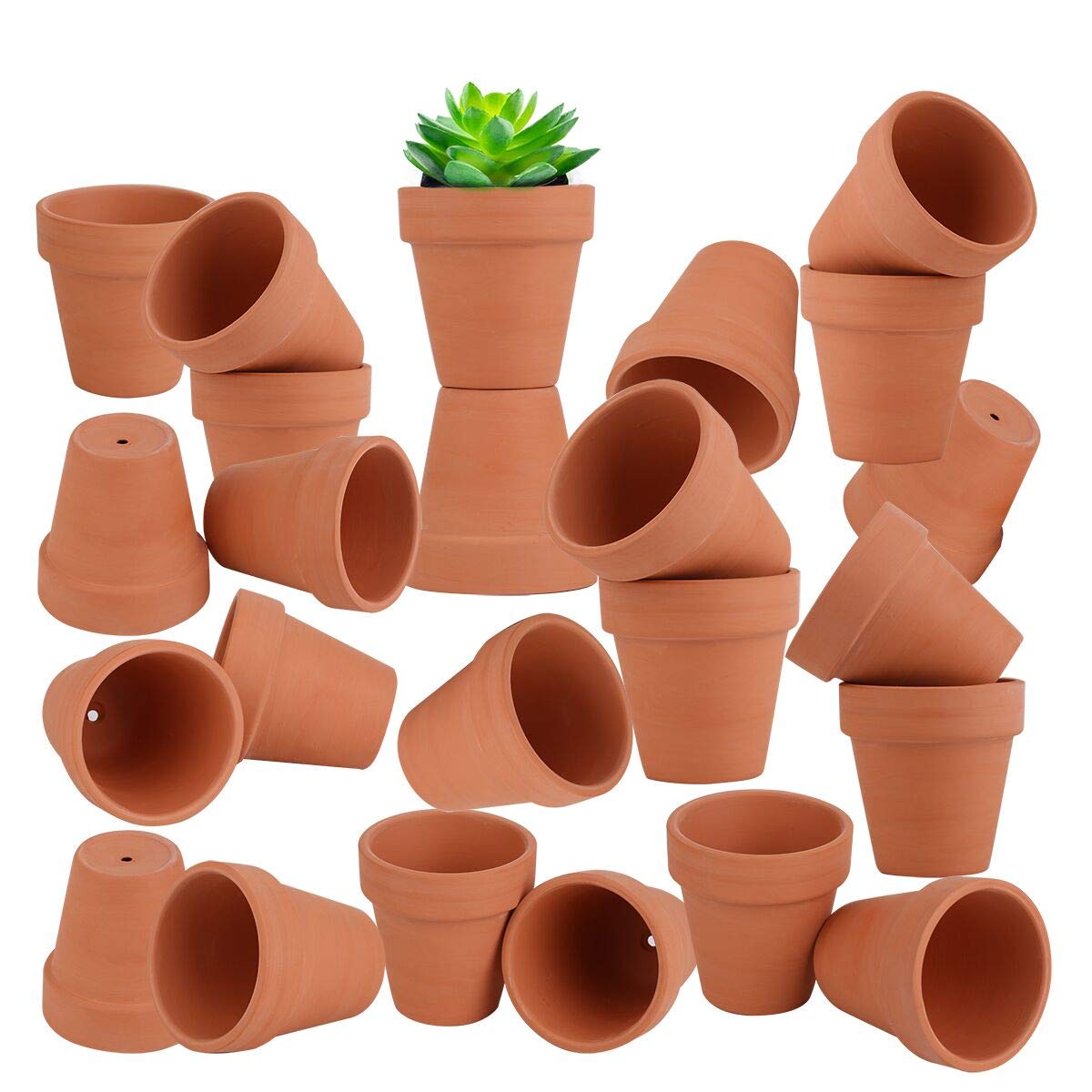plant pot trellis Arch Indoor Plant Trellis – growinshade main image 1