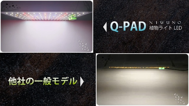 Amazon.co.jp: Niwuno 植物育成ライト パネル式 LEDライト UVa+IR 観葉