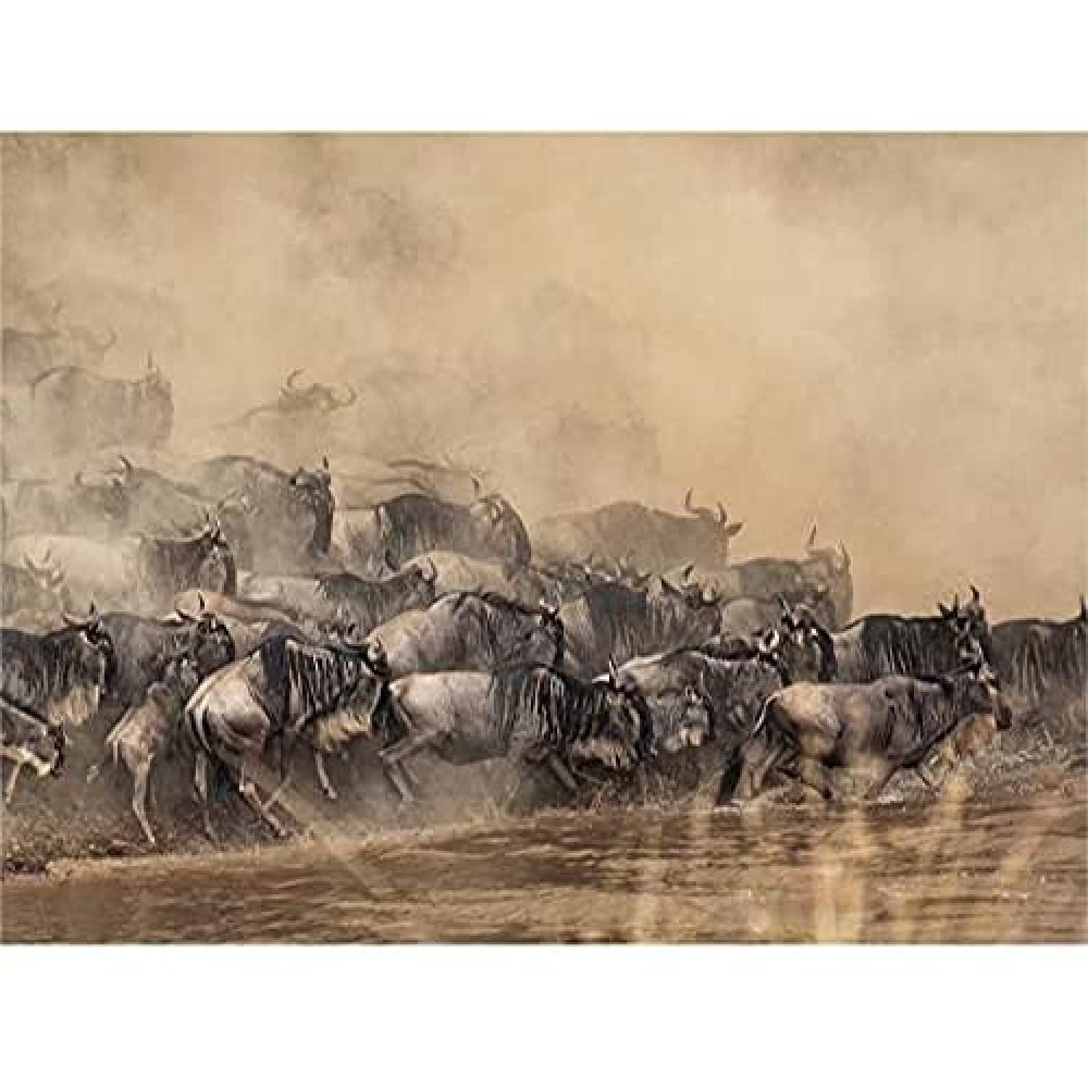 Wildebeest Antelope Herd Dust Canvas Wall Art Print