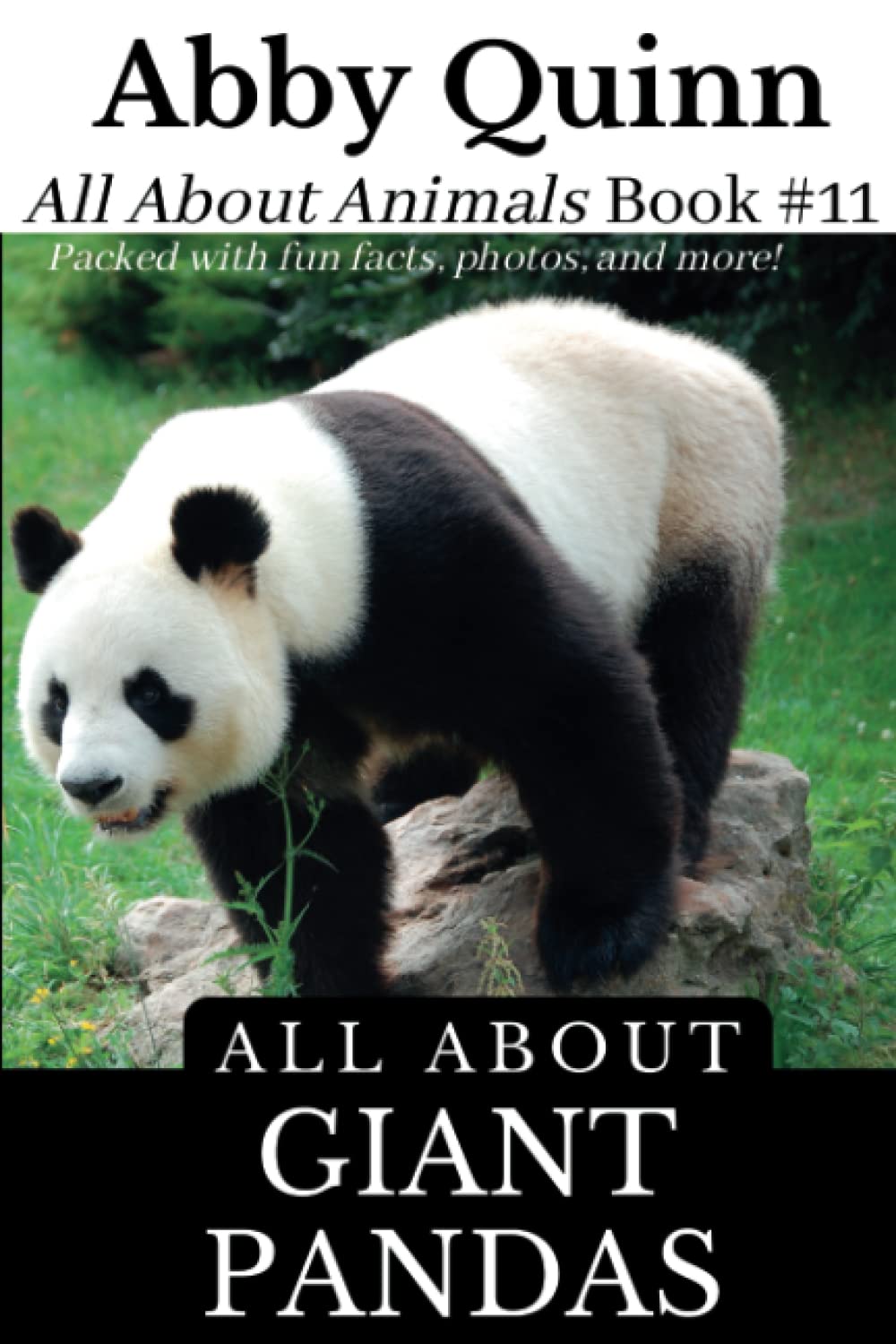 All About Giant Pandas: An Animal Facts Book For Kids (All About Animals)