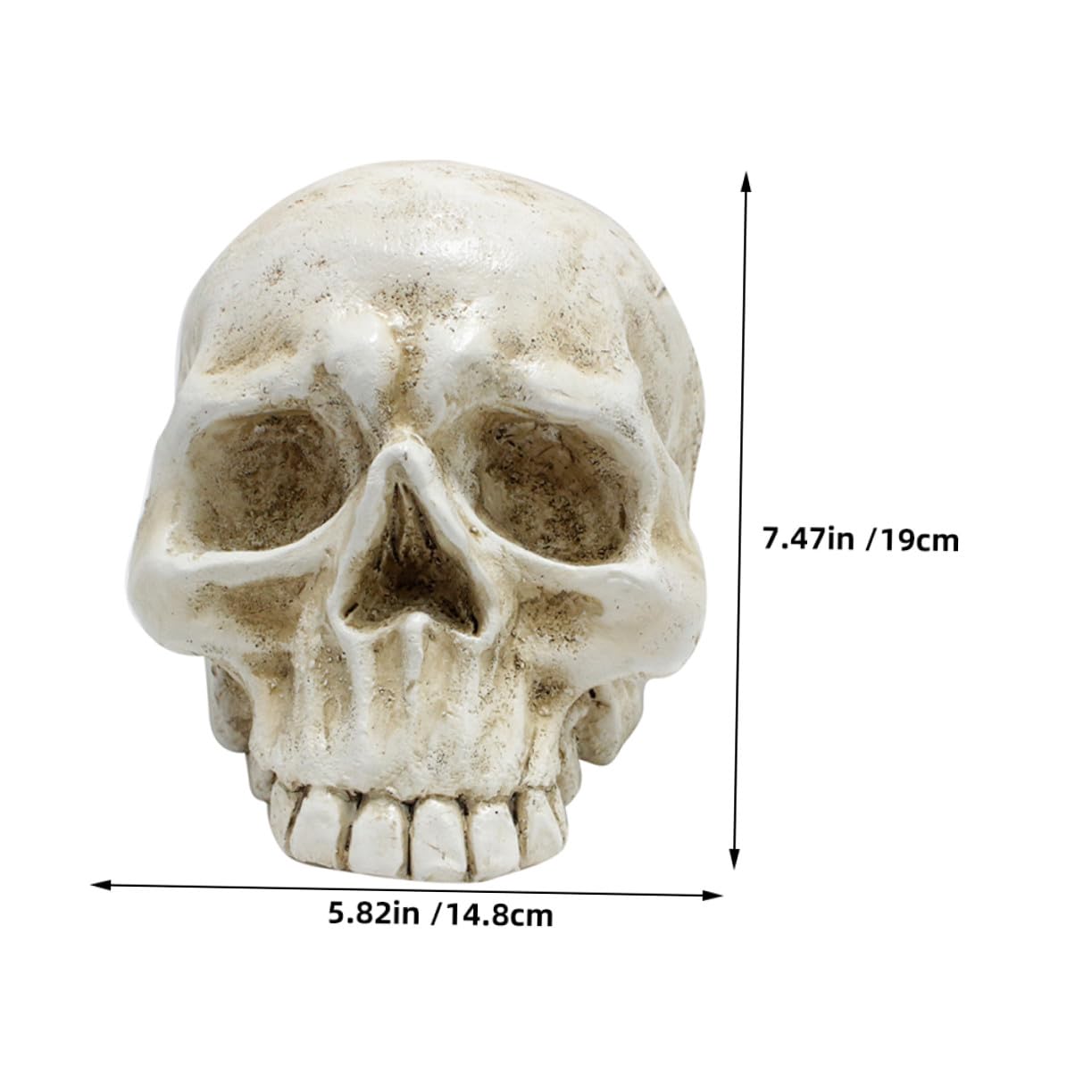 VALICLUD Halloween Resin Skull Table Centerpiece Decoration Human Skeleton Head Ornament for Party Photo Prop And Desktop Decor
