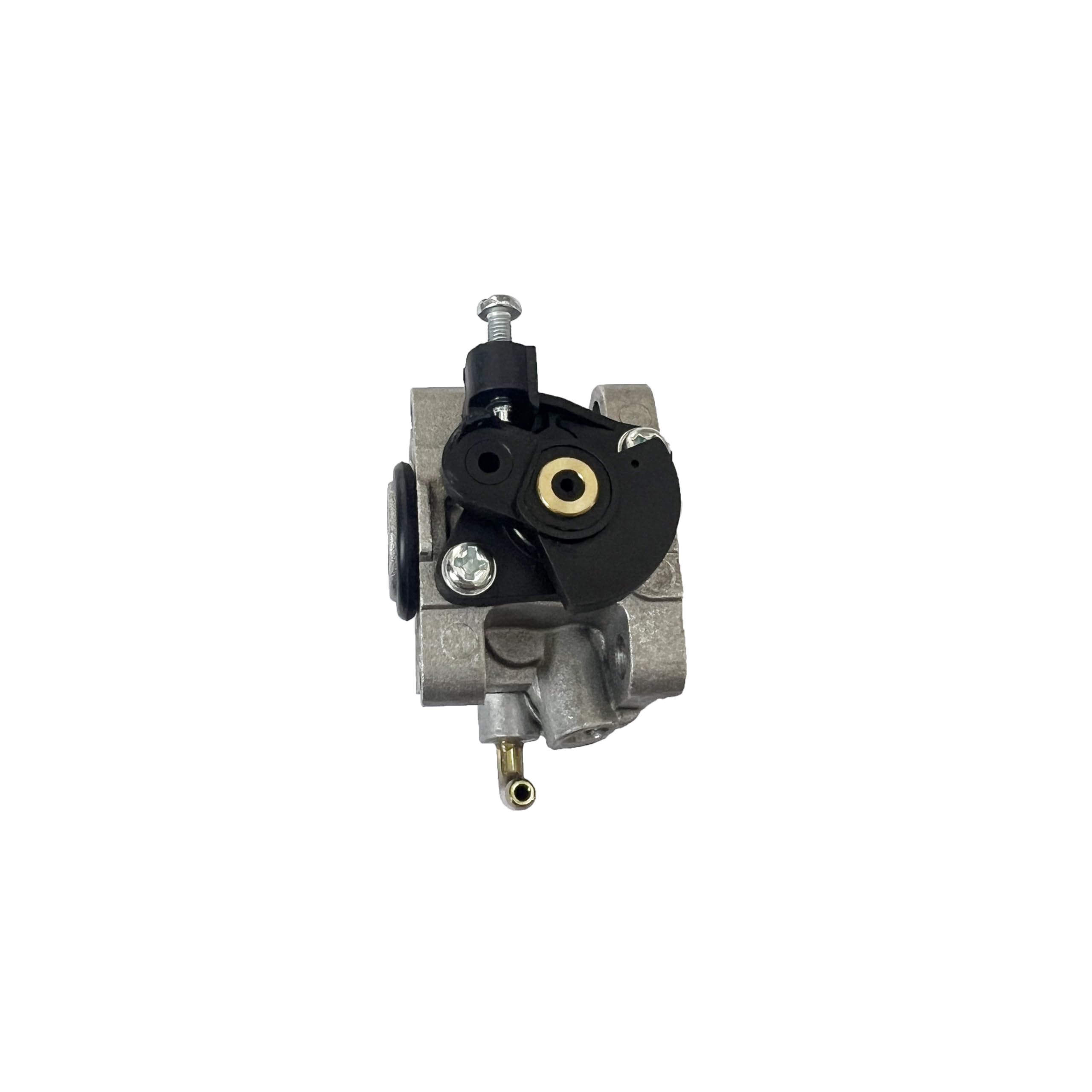 RIZAP QUICK BURNER+ 30本 RIZAP QUICK BURNER+ 30本 Swirl_Ring_220-300__09577.