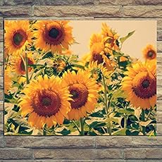 Image of Classical Desin Sunflower. Brand catalog list of Leju Art. 