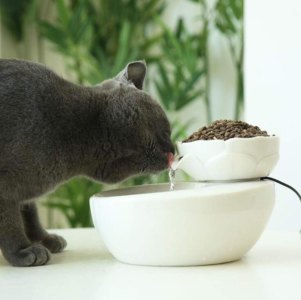 ROSE CREATE 1.3 Liters 2 in 1 Ceramic Cat Drinking Water Fountain & Food Bowl, USB Electric Pet Water Dispenser for Cats and Dogs, with Quiet Pump and 5 Replacement Filters - White Lotus Food Bowl