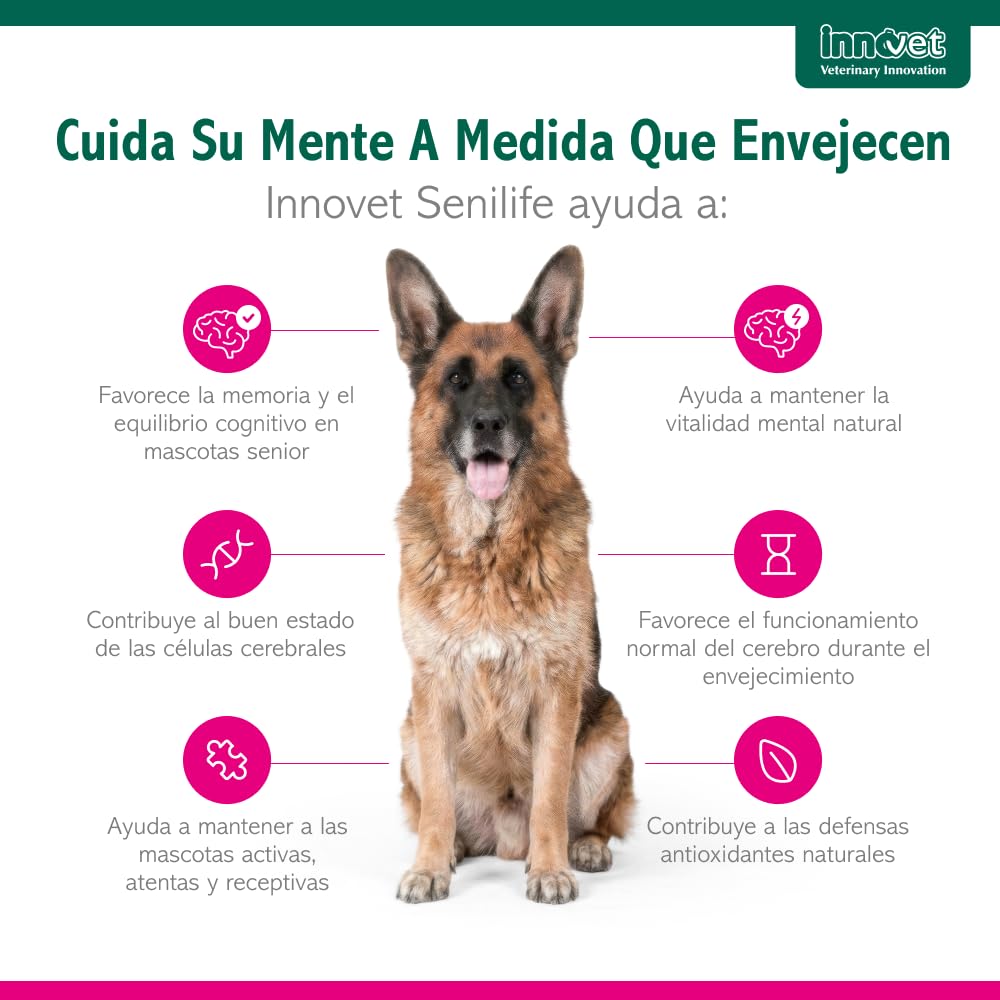 Innovet Senilife Plus 60 Cápsulas Monodosis – Apoyo al Bienestar Cerebral en Perros y Gatos Sénior – Vitaminas Perros Mayores Ayuda a Mantener el Equilibrio Cognitivo y la Vitalidad Mental Natural