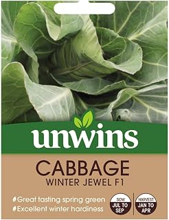 Unwins Cabbage Seeds - Winter Jewel