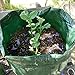 JJGoo Potato Grow Bags, 4 Pack 10 Gallon with Flap and Handles Planter Pots for Onion, Fruits, Tomato, Carrot - Green