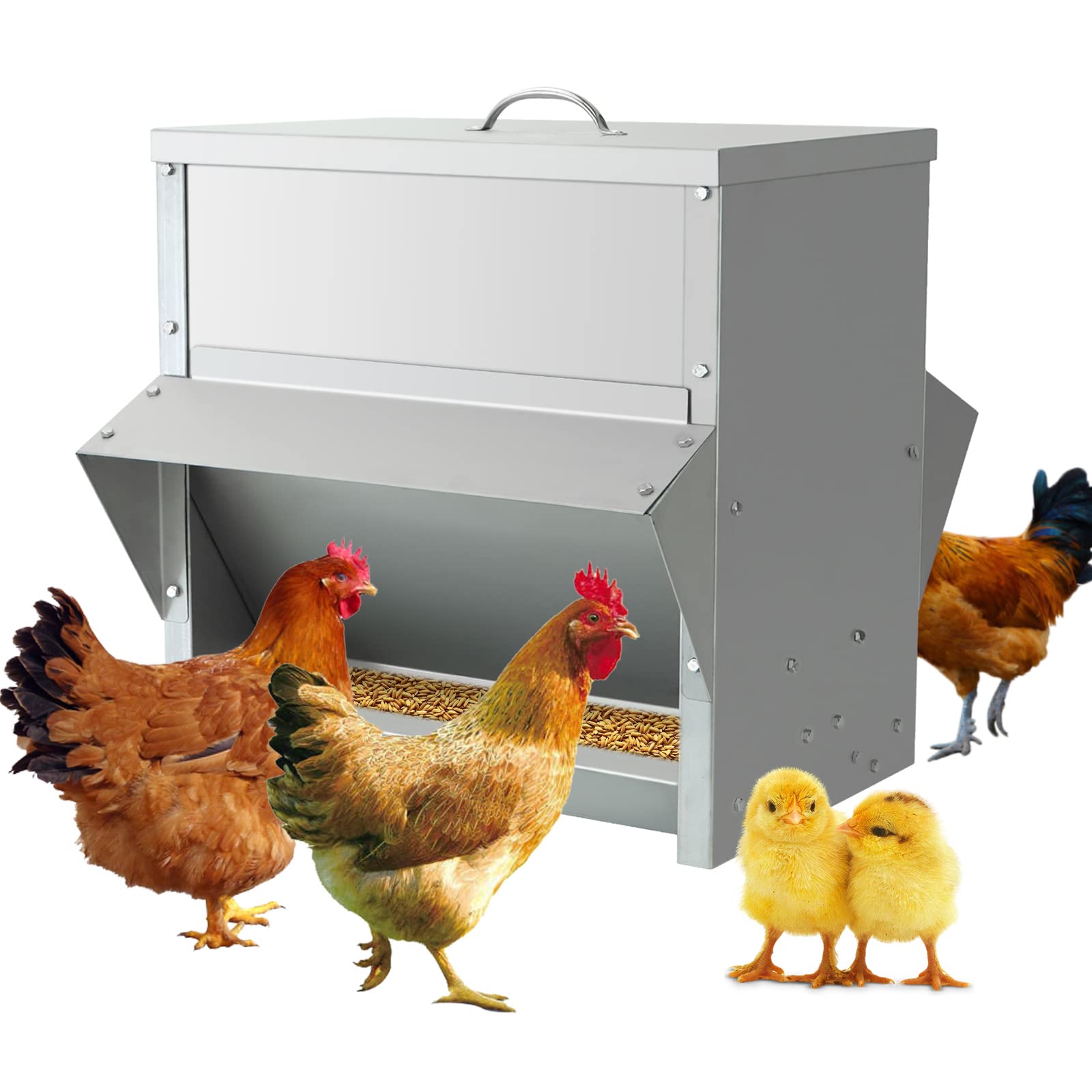 Mangiatoia Galline 25KG Automatica Da Esterno, Mangiatoia Per Polli Antispreco/Antipioggia In Acciaio Inossidabile, 40.5x29x41cm
