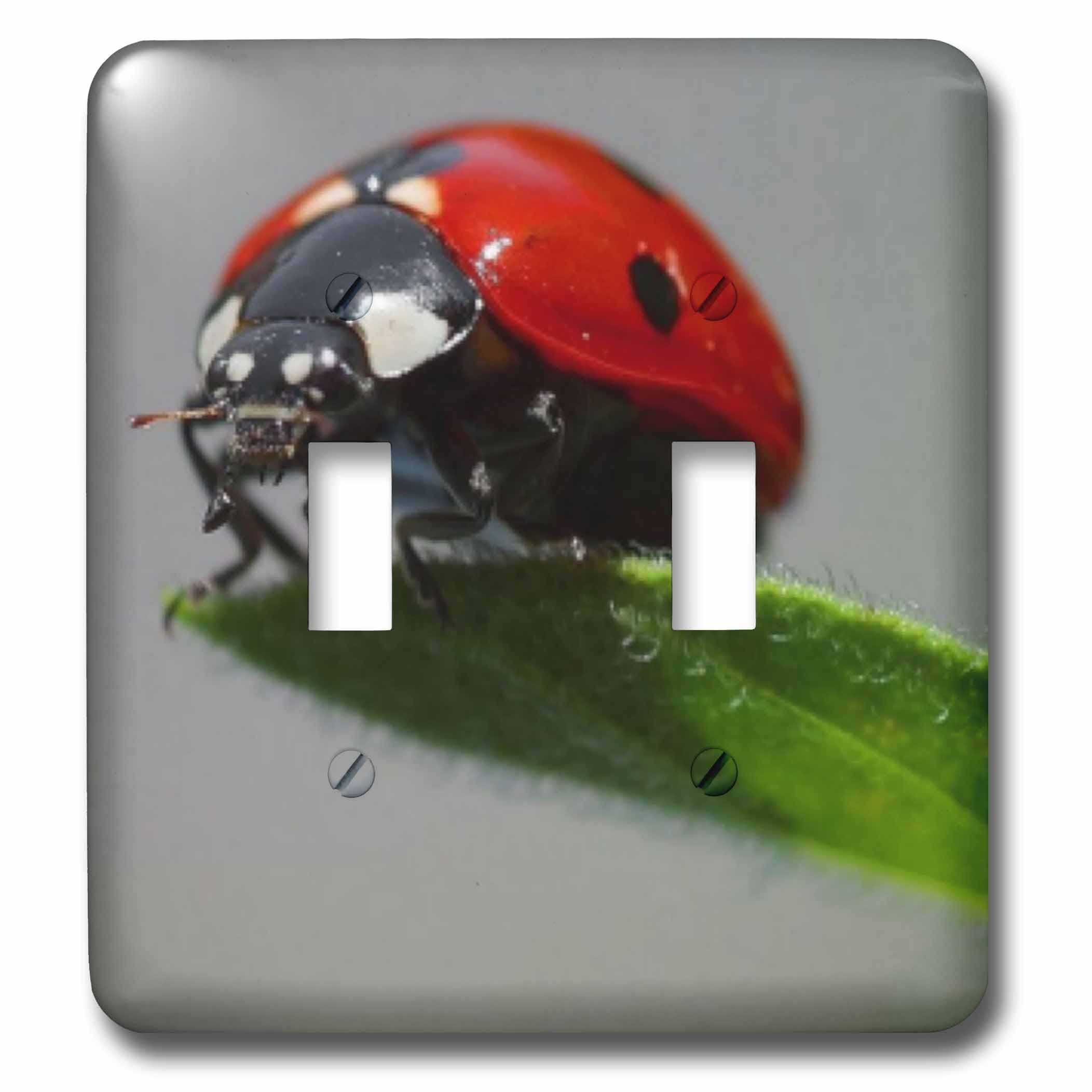 Interrupteur à bascule 3dRose Lsp_21324_2 coccinelle pour plaque murale