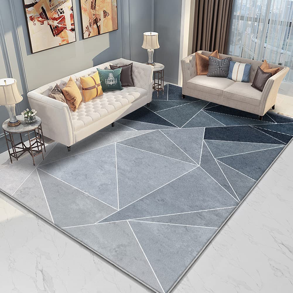 Tapis de shag minimaliste idéal pour une chambre chaleureuse