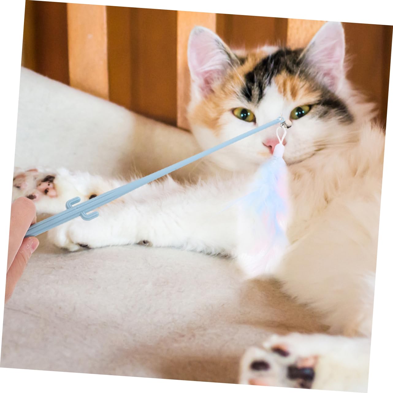 Sosoport 16pièces Jouets Interactifs pour Chats à Plumes avec Poignée Cactus Jouets De Teasing Autonome pour Chats Intérieur