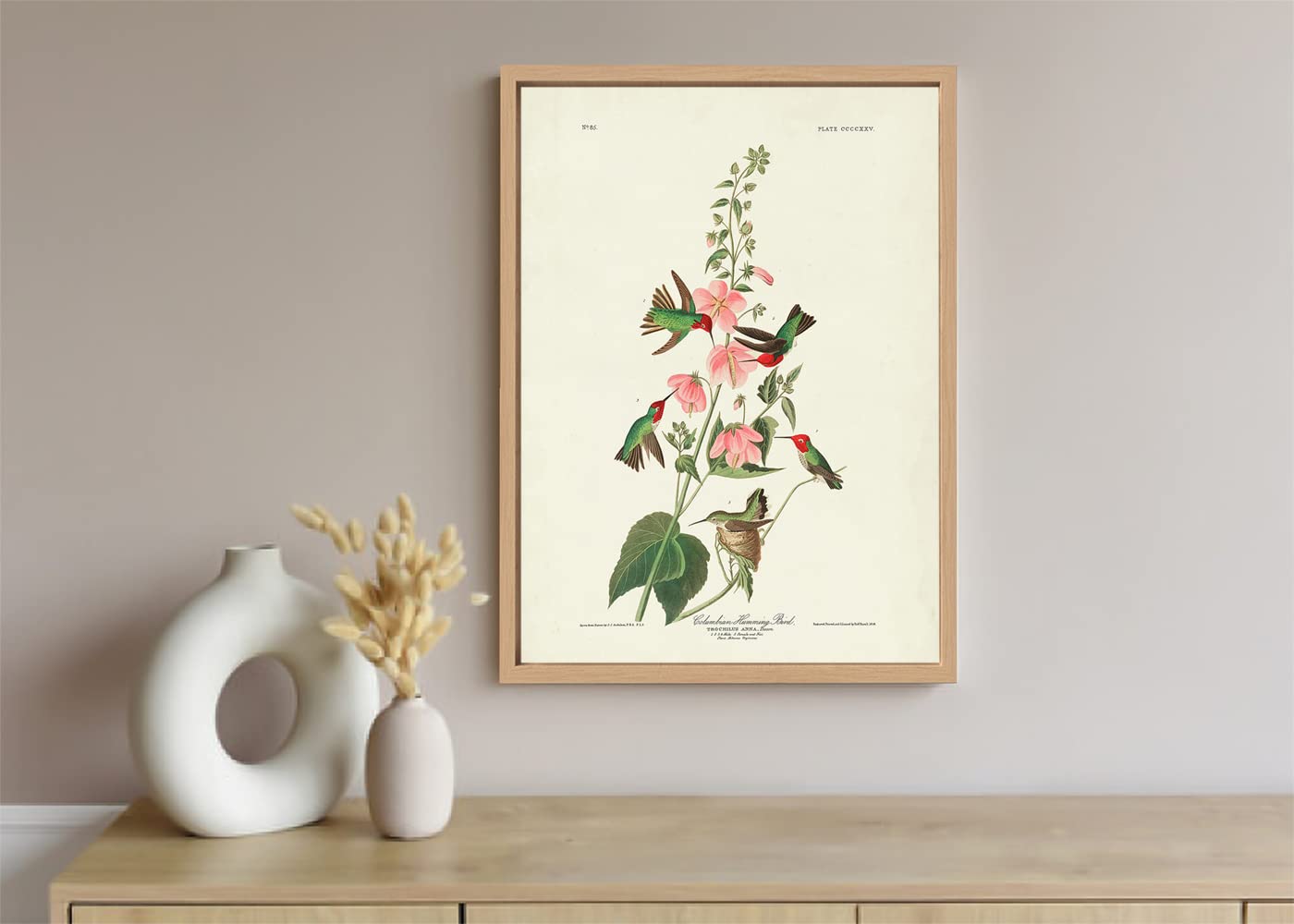 VERRE ART Printed Framed Canvas Painting for Home Decor Office Wall Studio Wall Living Room Decoration (10x14inch Wooden Floater) - Columbian Hummingbird