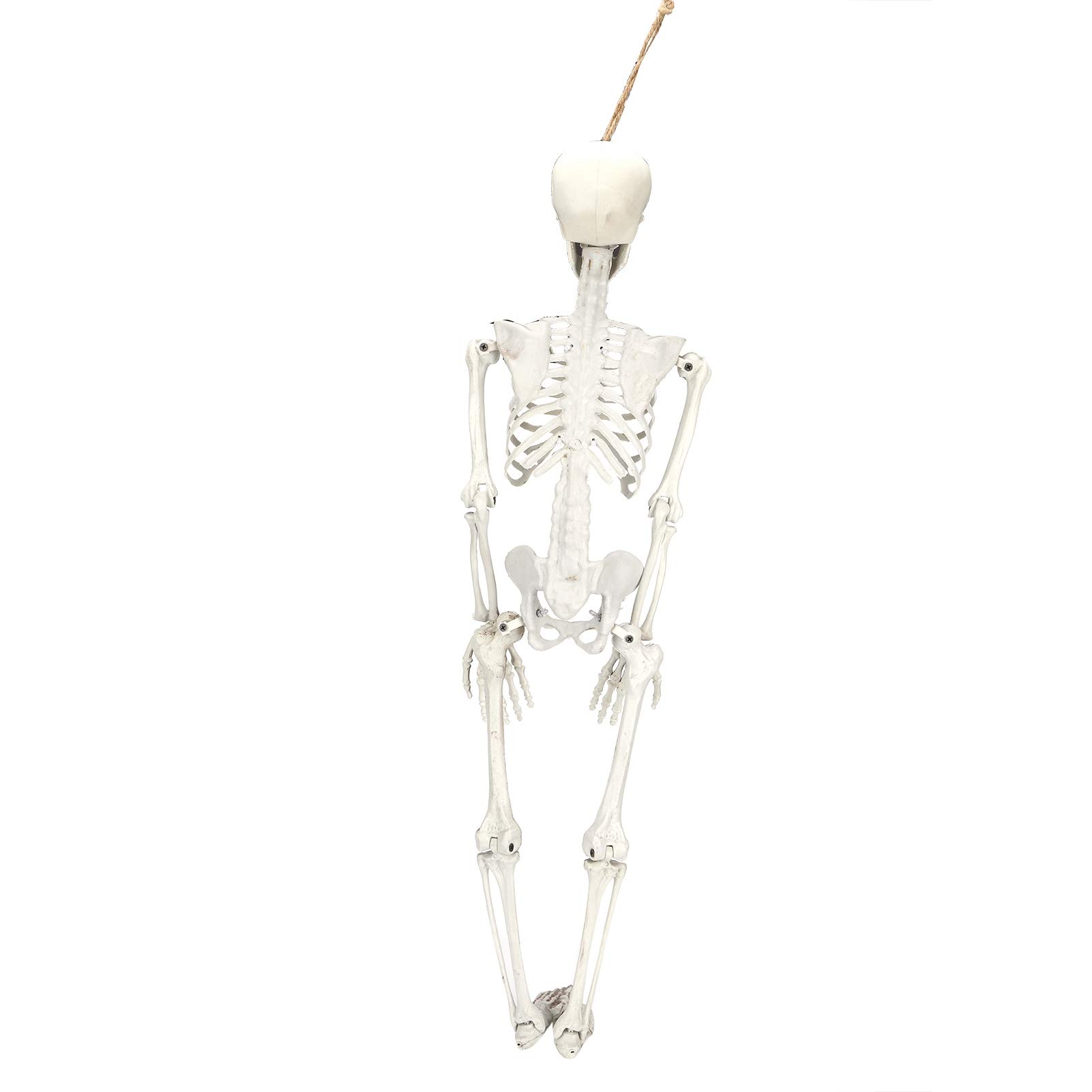 Chrees Esqueleto de Resina de Halloween, con Articulaciones Móviles y Gancho para Colgar para Decoración de Fiesta en el Hogar (Medio)