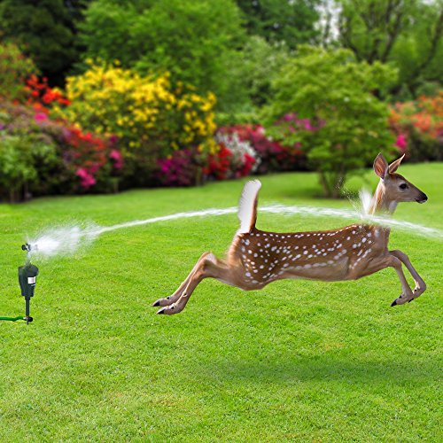 Hoont H935VNDR Cat Repellent- Squirrel Deterrent- Motion Activated Sprinkler- Outdoor- Deer Repellent-Cat Deterrent-Skunk Repellent-Dog Repellent thumb #4