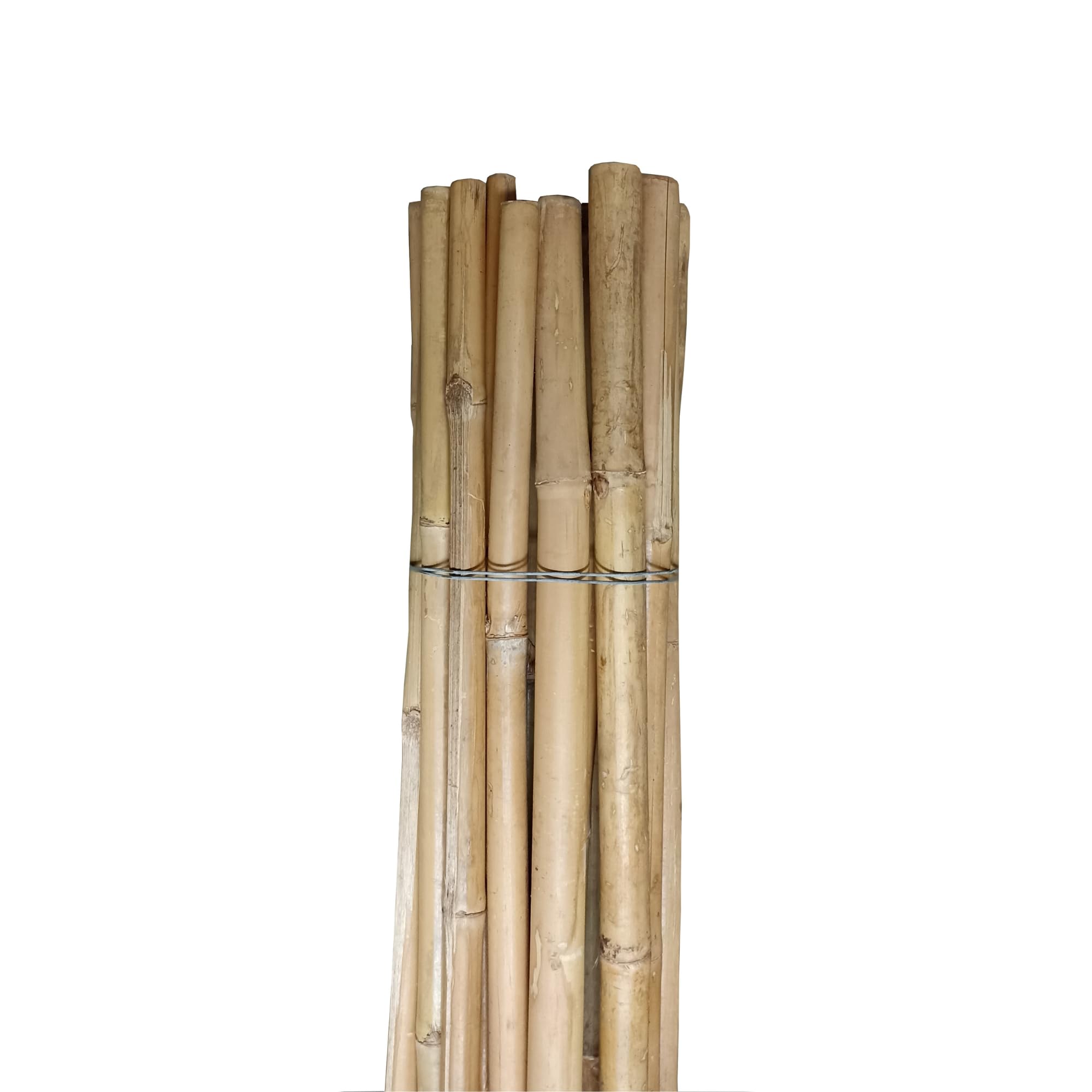 Pag Canne di bamboo ⌀ 20/22 mm Altezza 2400 mm | Tutori per Orto, Giardino e Arredo | Sostegno per Ortaggi e Piante rampicanti | 20 pezzi