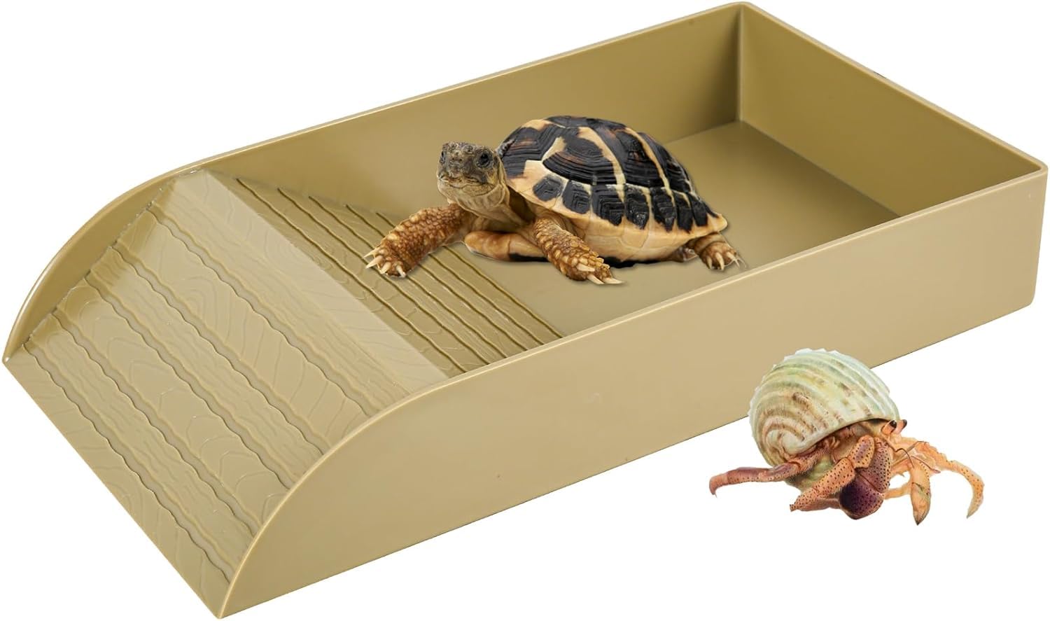 CleerKaen Tortuga - Plato de agua con rampa y plataforma para tomar el sol, plato de baño para tortugas, serpientes, lagartos, alimentación, baño, reptil, agua, tortuga, baño, piscina