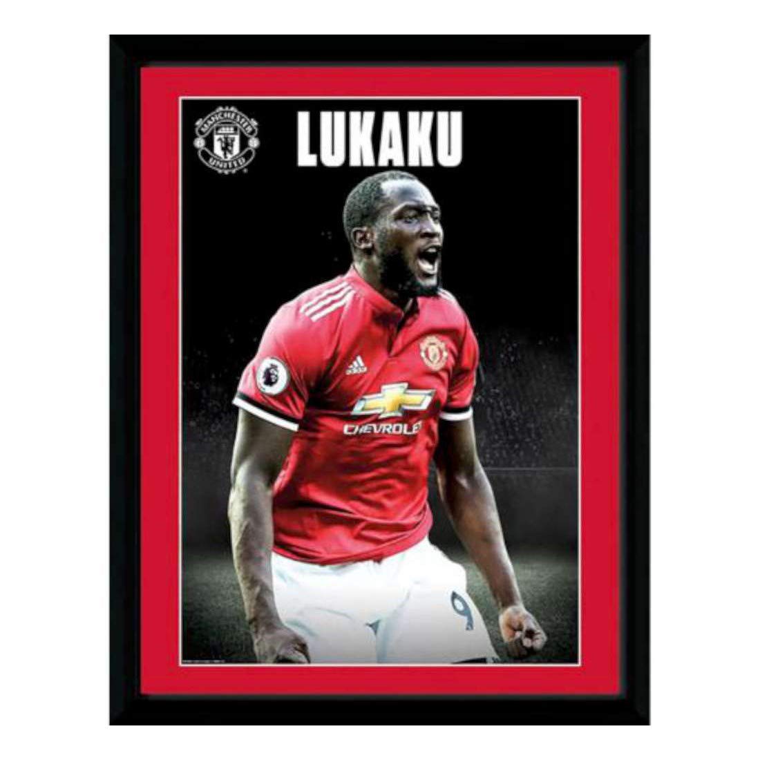Amazon.co.jp: Manchester United F.C. Picture Lukaku Profile 16 x