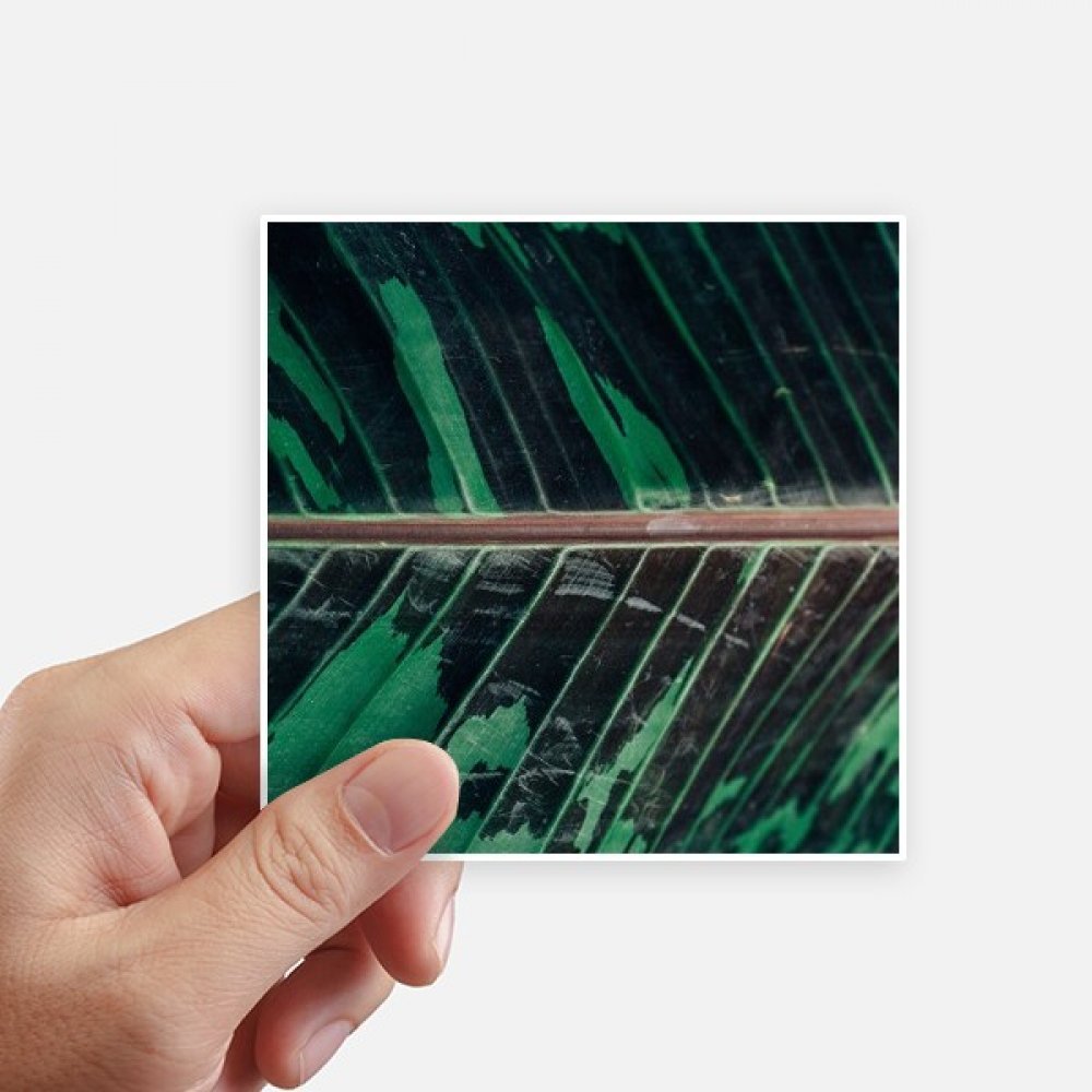 Autocollant feuille de banane DIYthinker pour masquer les rayures de votre pc