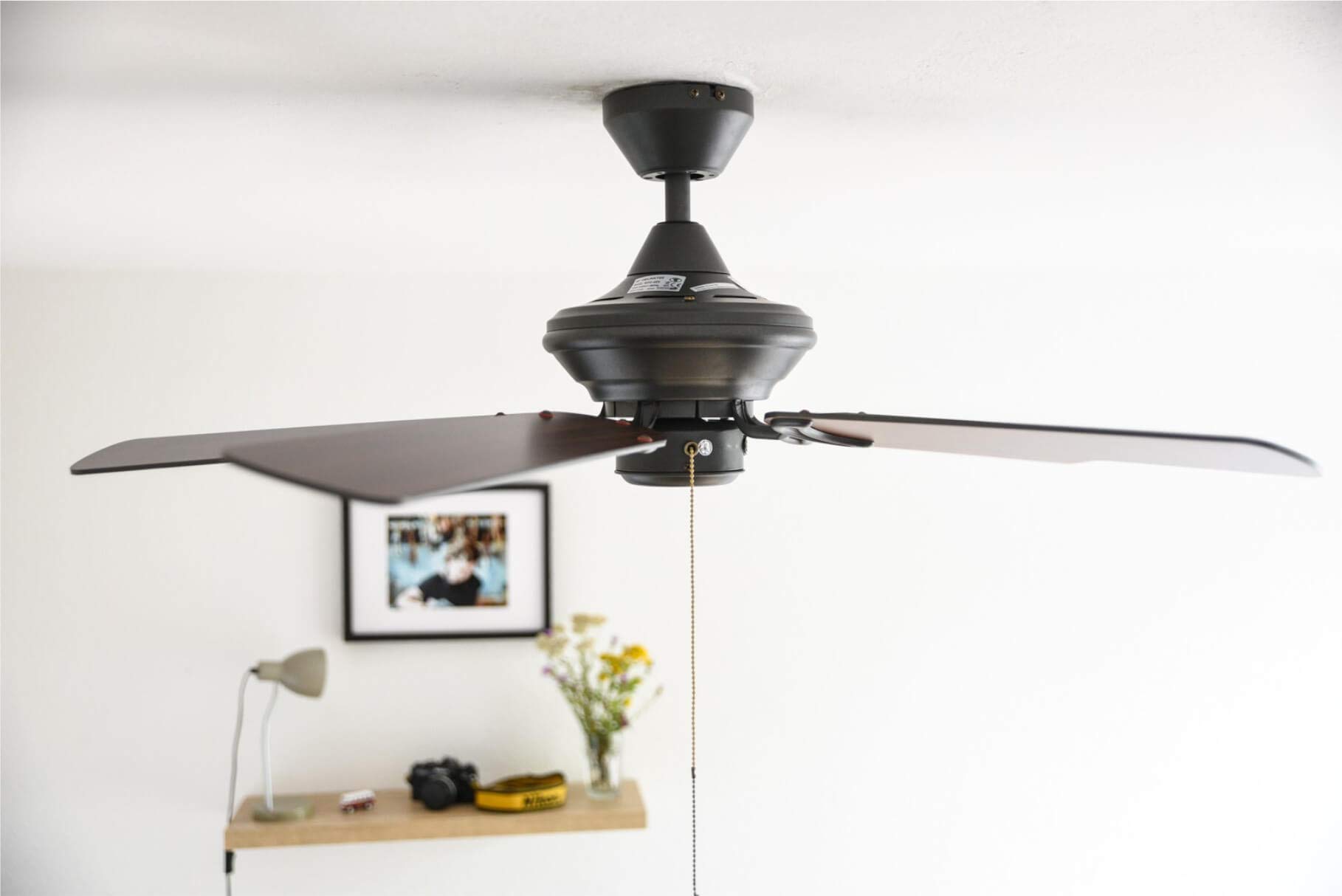 Westinghouse Cornucopia - Ventilador de techo con luz - Verano o invierno