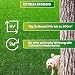 Greenyp Neutralizer - schützt Rasen vor Hundeurin Flecken I Urin neutralisieren dank Effektive Mikroorganismen I 100% organischer Dünger Bodenaktivator für Rasen I Beutel mit 12g für 600m2