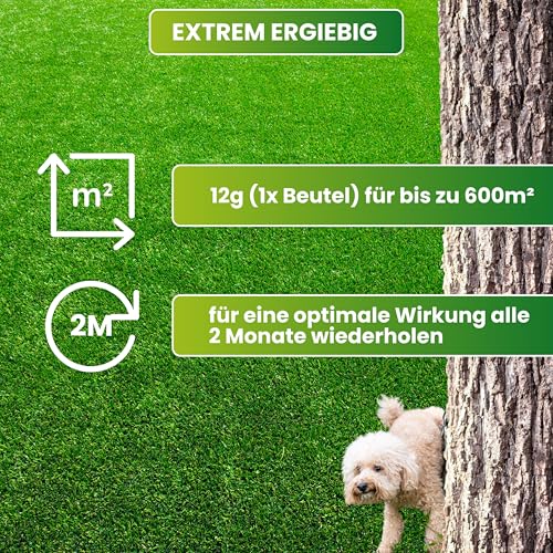 Greenyp Neutralizer - schützt Rasen vor Hundeurin Flecken I Urin neutralisieren dank Effektive Mikroorganismen I 100% organischer Dünger Bodenaktivator für Rasen I Beutel mit 12g für 600m2