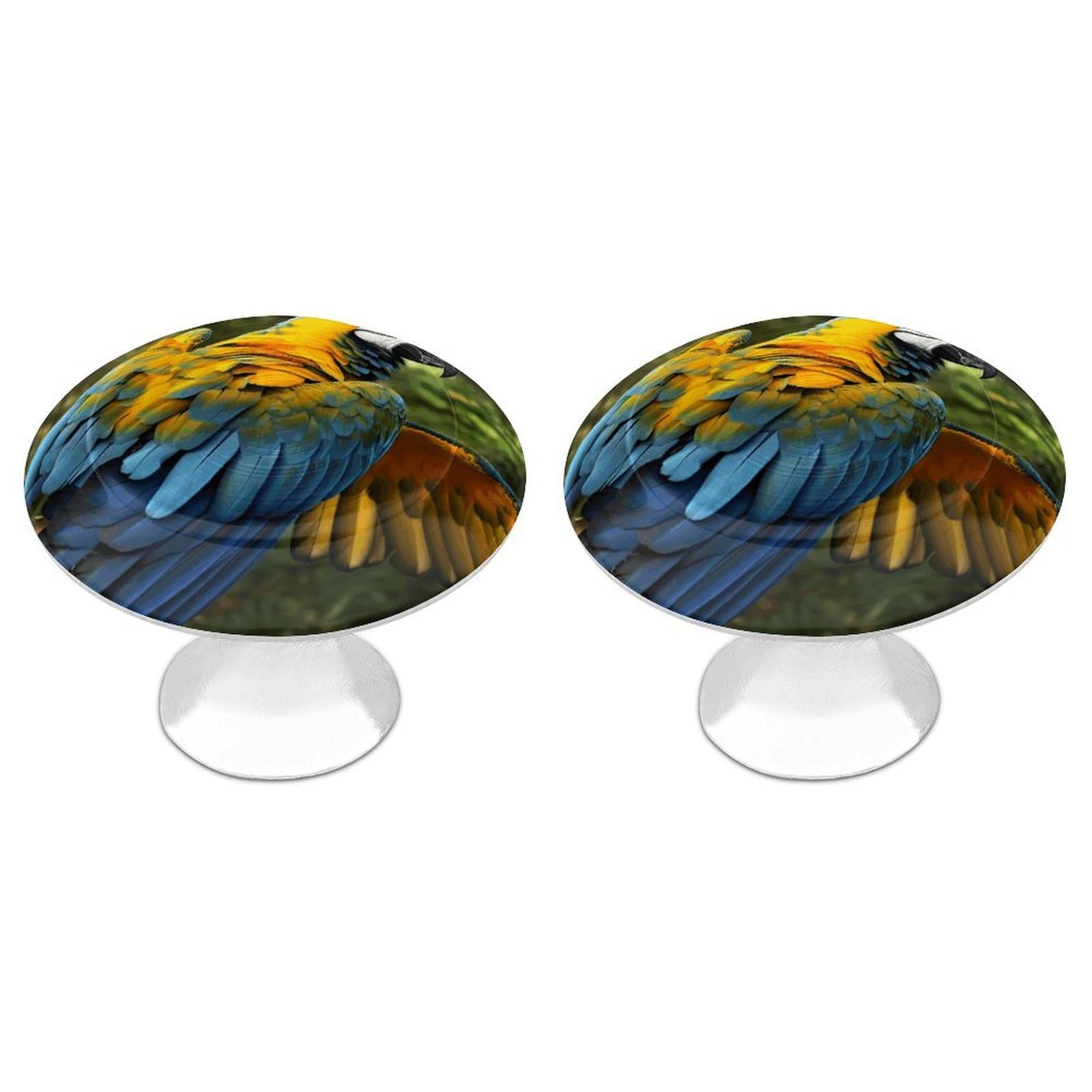 Vstadank Style Yellow Wings Blue Parrot Drawer Knob Round Dresser Sturdy Drawer Pulls With Mounting Screws Kitchen Stainless Steel Modern Decorative Handles For Cupboard Closet Bathroom