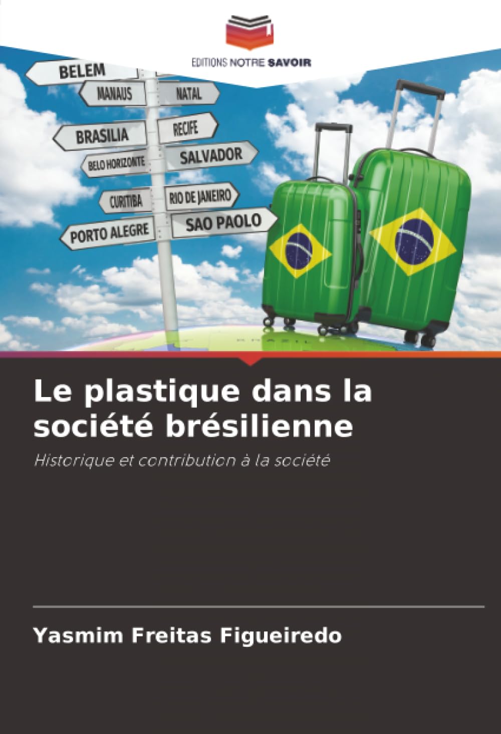 Le plastique dans la société brésilienne: Historique et contribution à la société