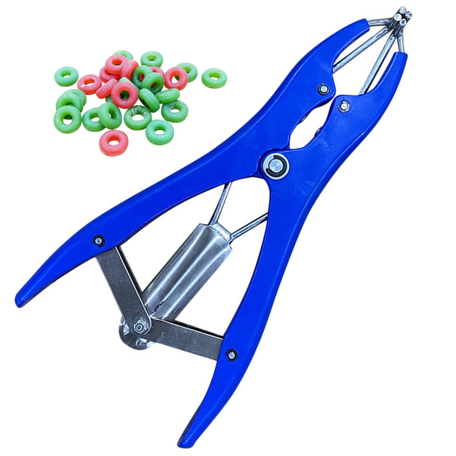 Kit per fascere per capre | Strumento per fasciare per castrazione Pinza elastica per castrazione in acciaio inossidabile con 100 anelli in gomma per suini, bovini, pecore, mucche