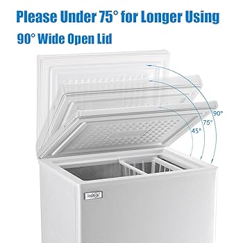 芙蓉ページ ୨୧ Amazon.com: Chest Freezers Compact Mini Deep Freezer WANAI