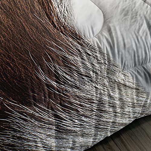 Highland Cattle Flower Comforter Set Full Size Bull Cattle Bedding Set Western Funny Animal Bedding Set Wildlife Farmhouse Cow Quilt Set Sunflowers Comforter Set For Kids Teens Boys Girls Adults #TOP4