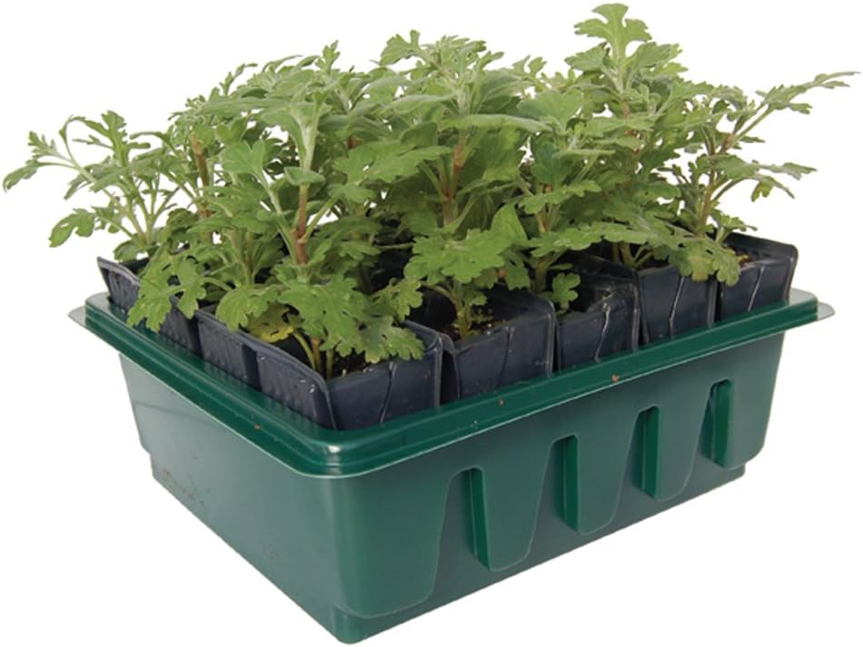 Haxnicks Compact Rootrainer Propagator Sets (Pack of 2)
