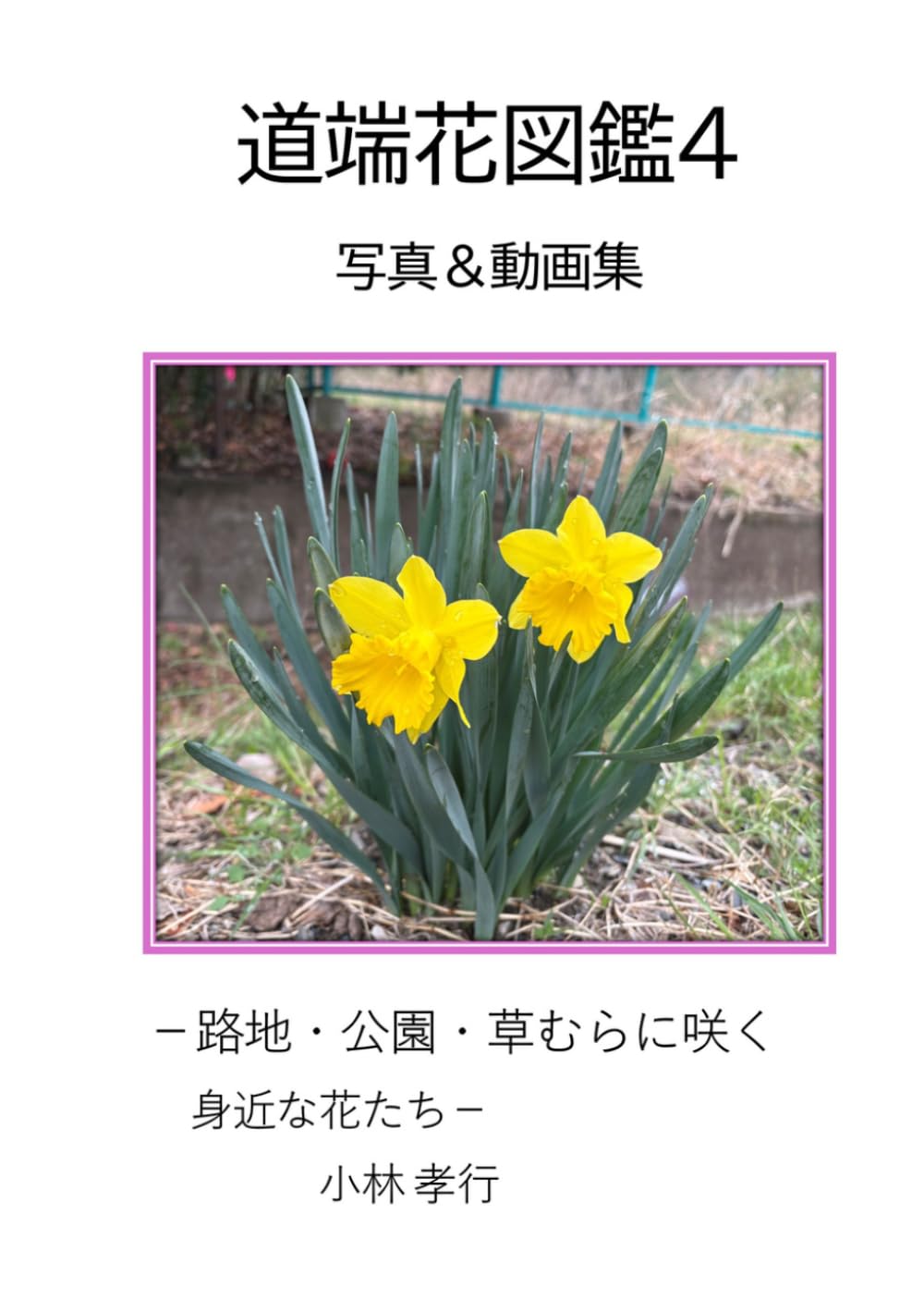 道端花図鑑４　写真＆動画集: 路地・公園・草むらに咲く身近な花たち