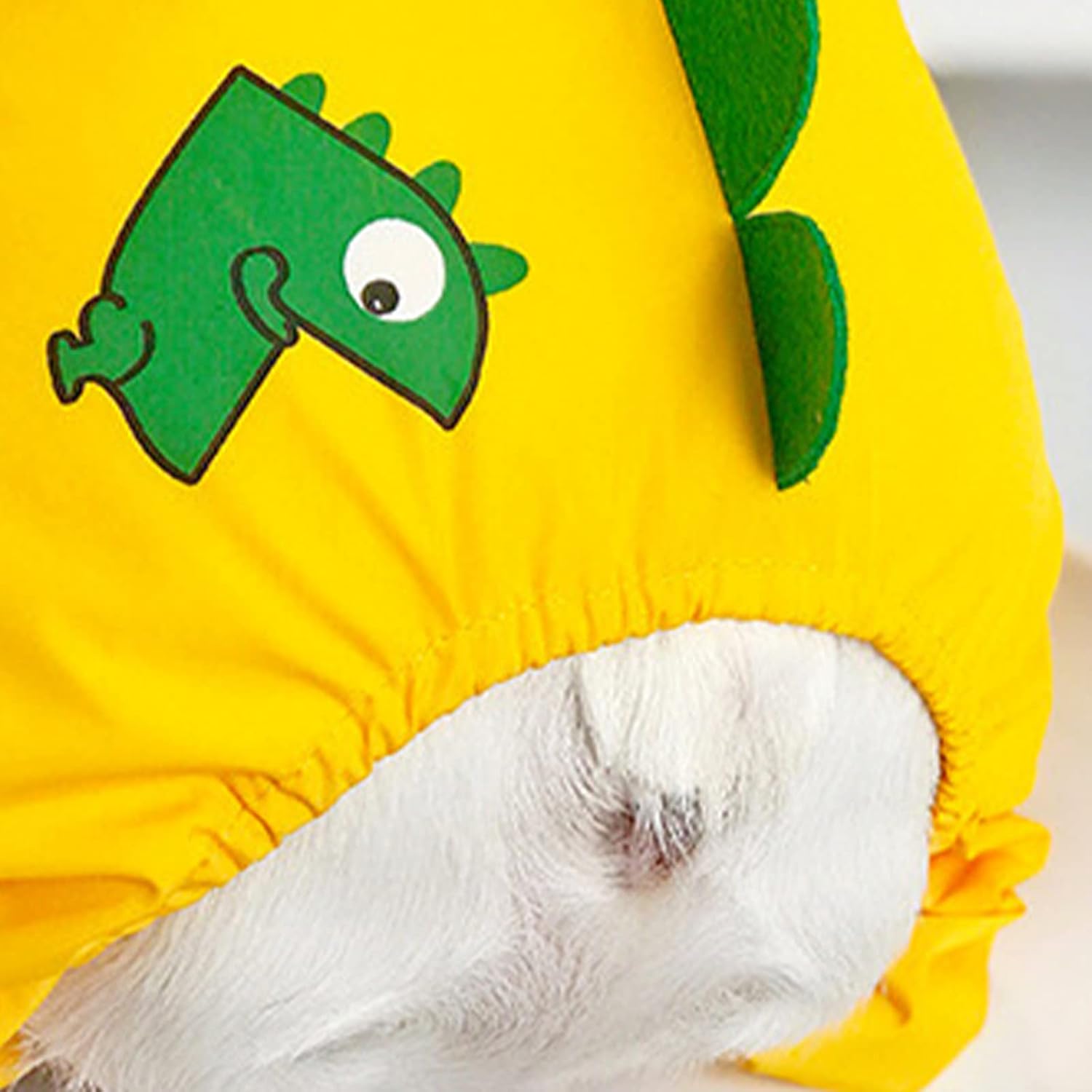 French Bulldog Raincoat Hooded Dinosaur Shape Waterproof Dog Jumpsuit Raincoat with Transparent Brim Rain Poncho Jacket Rainwear for Small Medium Dogs