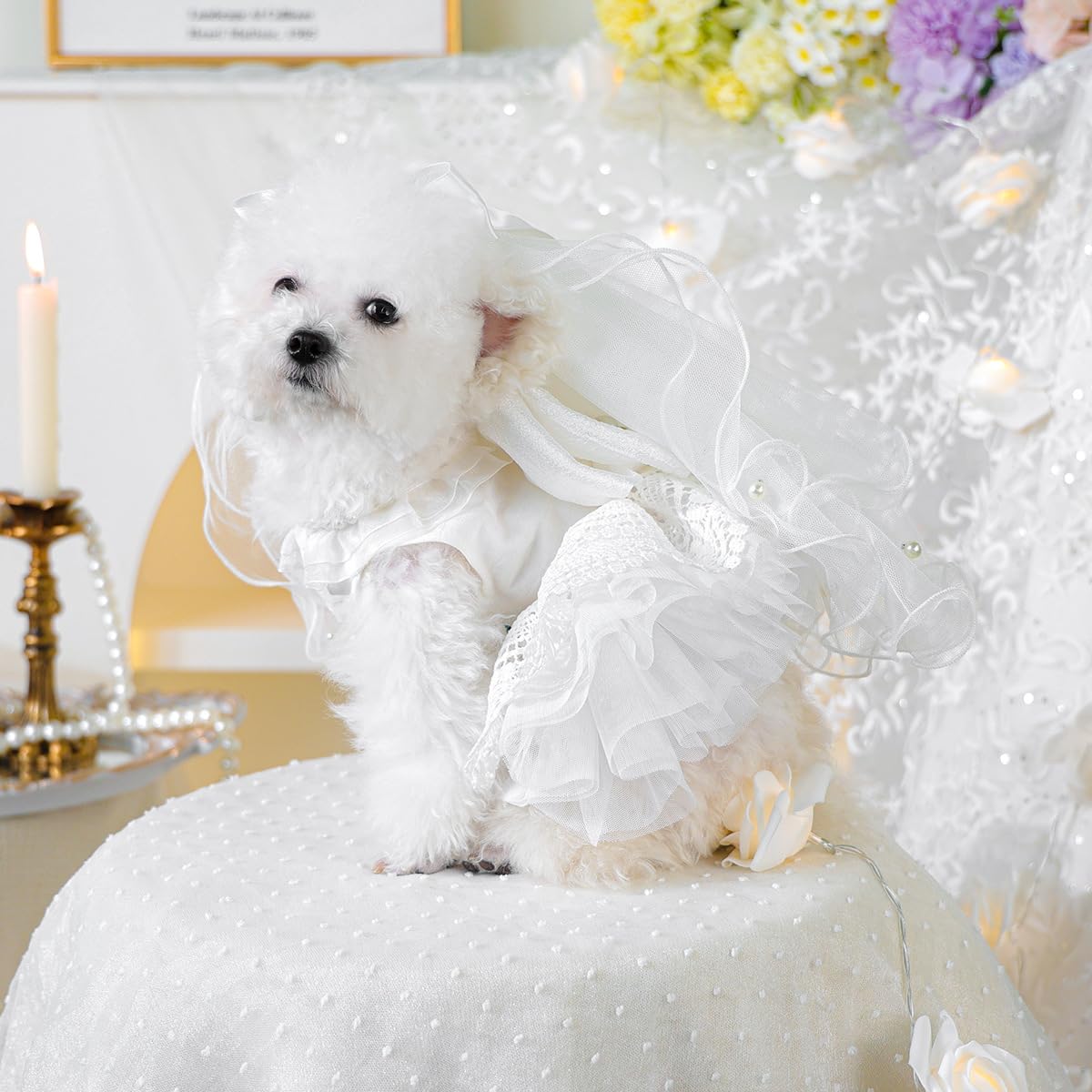 Hochzeitskleid für Hunde mit Kopfbedeckungen, luxuriöses Spitzenkostüm für Hunde, Partybekleidung für kleine Haustiere, Schleifenkleid, Größe XS