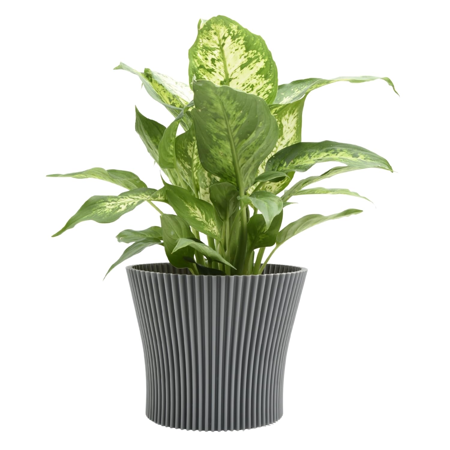 B2C Matt Ribbed Flower Pot – Modern Flared Conical Planter with Pleated Design, Lightweight, Indoor/Outdoor Decorative Plant Pot – Multiple Sizes & Colors (Dark Grey, 11cm)