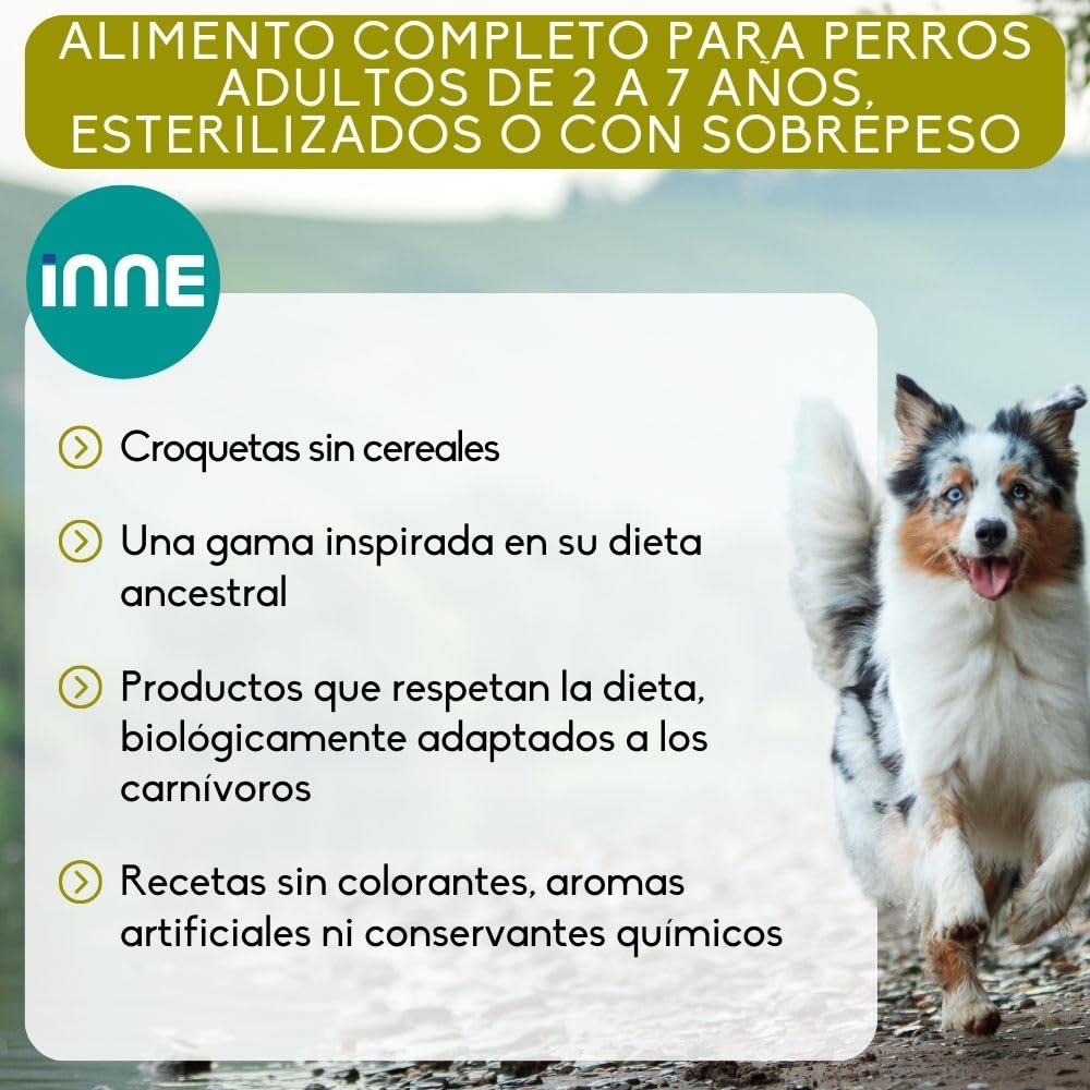 NUTRIVET - INNE Chien - Croquettes sans Céréales - Chien Adulte stérilisé ou en surpoids- Volaille - 80% d'ingrédients d'origine Animale - 12 kg