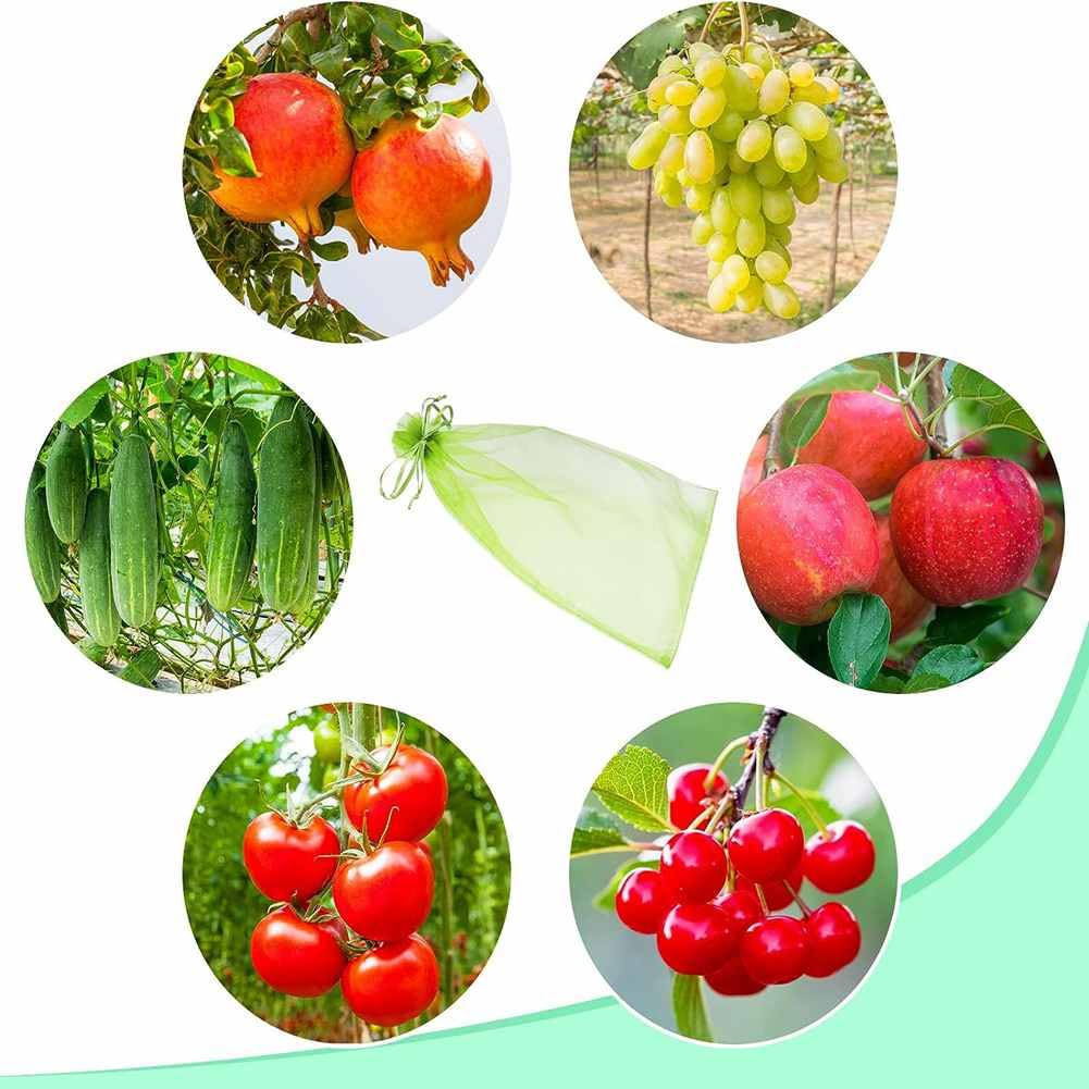 Sacchetti di protezione per uva, 30 x 40 cm, per frutta, con cordino, in organza, con cordino, da giardino, a rete, per frutta, da giardino, a rete