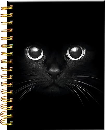 iampanda Cuaderno de diario en espiral encuadernación fuerte de doble alambre con papel de primera calidad para niñas y mujeres cuaderno de 60 hojas