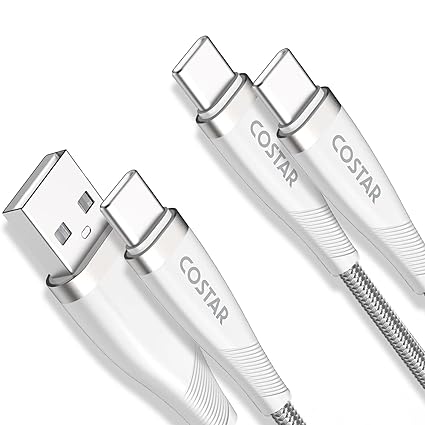 (Pack of 2) COSTAR Type C to Type C + USB A to USB C 3A Nylon Braided Cable Fast Charging and Data Sync Compatible with Laptop, Macbook, Samsung Galaxy M33 M53 M51 S20 Ultra, A71, A53, A51, Ipad Pro 2018 (6FT 2M Silver)