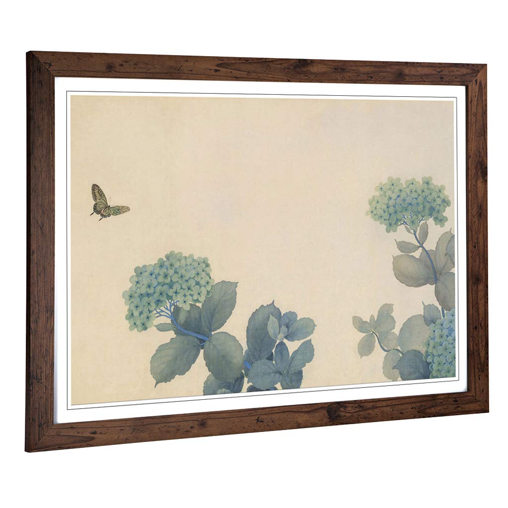 Big Box Art Framed Print of Hishida Shunso Hydrangeas Butterfly Oriental Design | Wall Art Picture | Home Decor for Kitchen, Living Room, Bedroom, Hallway, Walnut, A2 / 24.5x18 Inch / 62x45cm