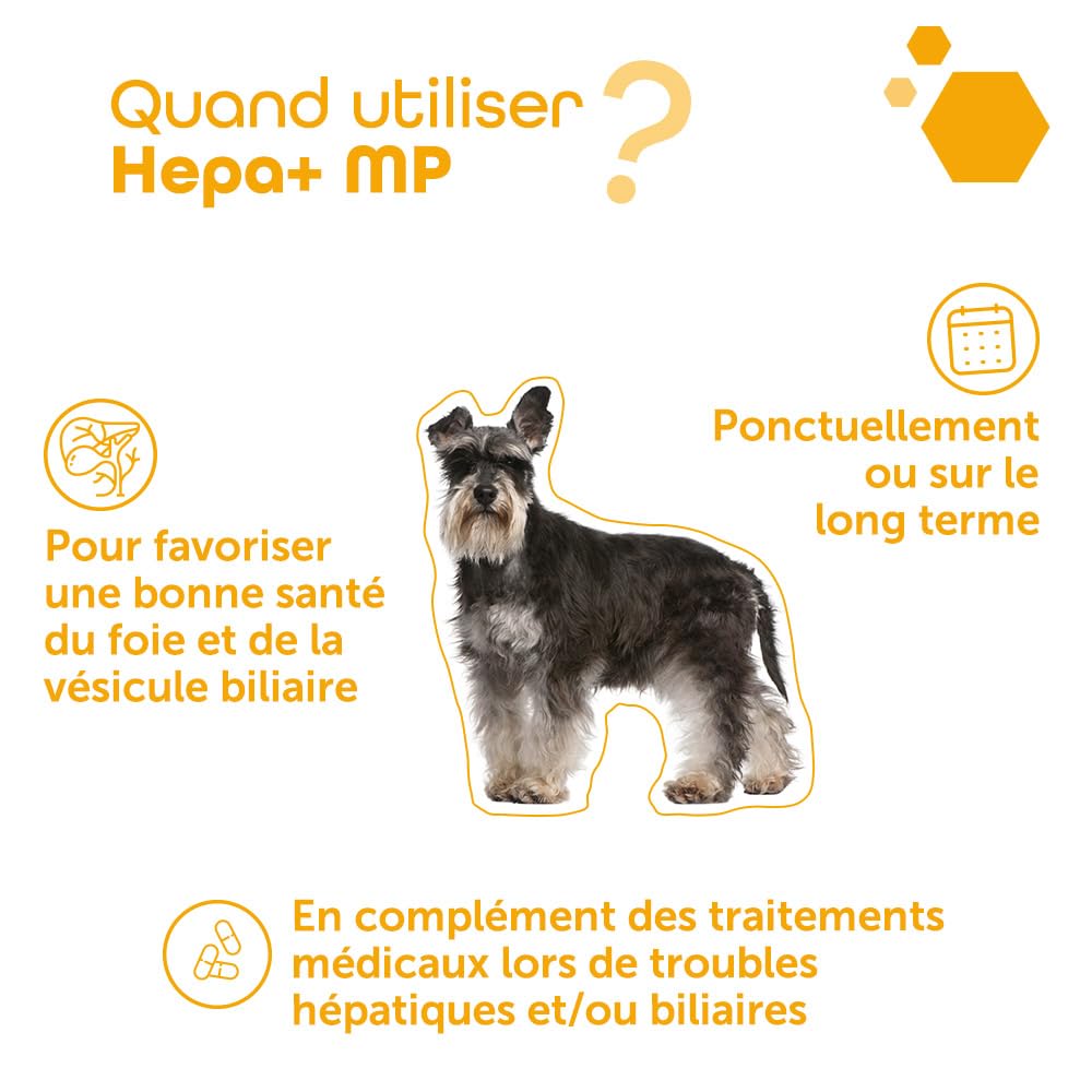 MP Labo Hepa+ MP 60 Gélules - Protection des Cellules Hépatiques et Bon Fonctionnement Hépato-biliaire pour Chien et Chat - Contient Chardon-Marie, Fumeterre, Anti-oxydants, Minéraux et Vitamines