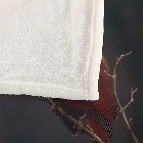 Miniatura 7 de Manta de pájaro rojo con diseño de pájaro cardenal del norte en la rama de árbol, decorativa, suave, cálida y acogedora, manta de franela de felpa
