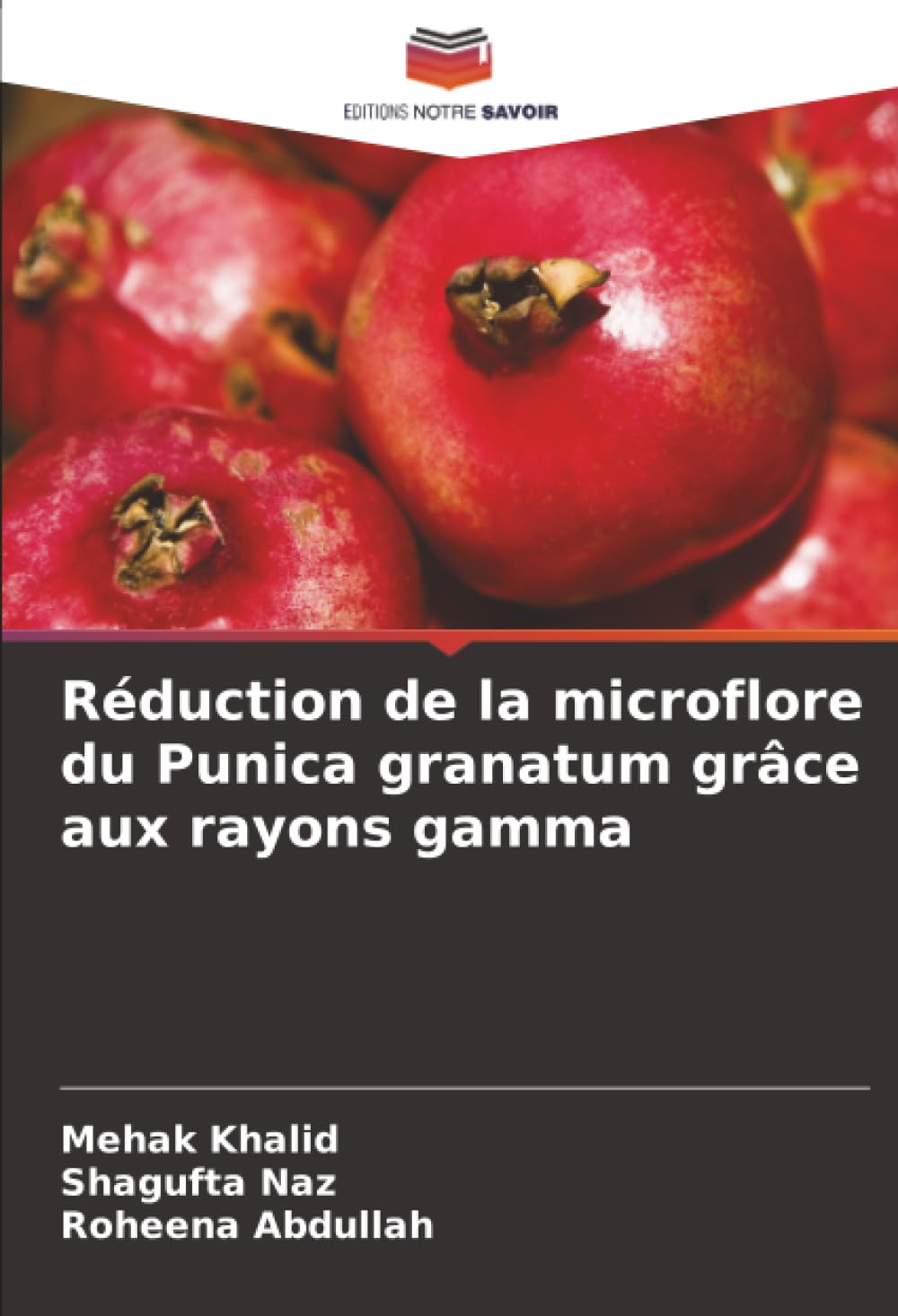 Réduction de la microflore du Punica granatum grâce aux rayons gamma