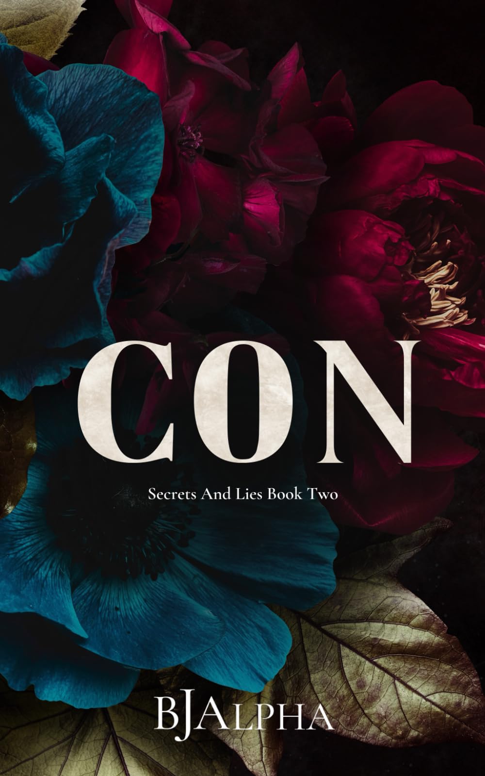 CON Discreet Cover: Secrets and Lies Discreet Cover Book 2 (SECRETS AND LIES DISCREET COVERS)