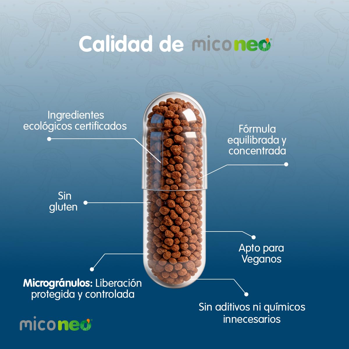 Mico NEO | VIR | Hongos de Agricultura Ecológica | Microgránulos NEO | Apto para Vegetarianos | Sin Gluten ni Derivados Lácteos | 60 Cápsulas | Tomar 1 o 2 Cápsulas al Día