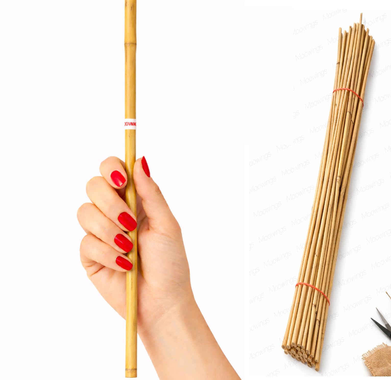 Cane Stick | Teachers/Class Room Multipurpose Stick Pointer rode | Educational sticksCrafts | School | Teaching Arts chooral Crafts etc | 75 CM (Slim) (1)-picture-22