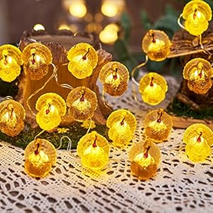 Decorative fairy turkey string lights novelty fall garland lights rope 8ft 20leds battery operated with remote for indoor decoration easter autumn christmas home bedroom party fall tree decor  urban country home decor