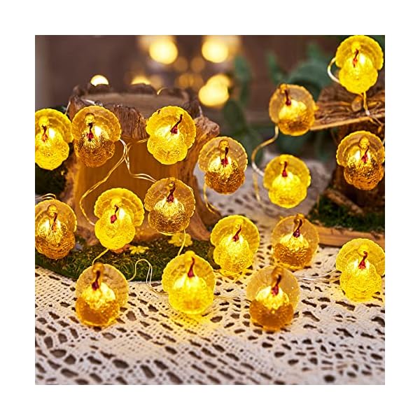 Decorative fairy turkey string lights novelty fall garland lights rope 8ft 20leds battery operated with remote for indoor decoration easter autumn christmas home bedroom party fall tree decor  urban country home decor