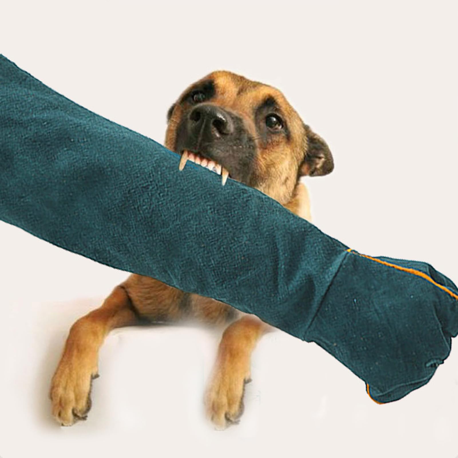 WBTY Pet Grooming Gloves Bite Proof Multipurpose Thickened 45CM Protective Glove Scratch Resistant Animal Handling Gloves for Dog Training - Image 2