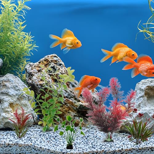 FENGQQKJ Aquarium Deko Aquarium Zubehör Aquariums Pflanzen Künstlich Wasserpflanzen Aquariums Miniteich Plastikpflanzen Fisch Tank Schildkröte Aquarien Dekorationen Rot Grün für Aquarien 10 Stück